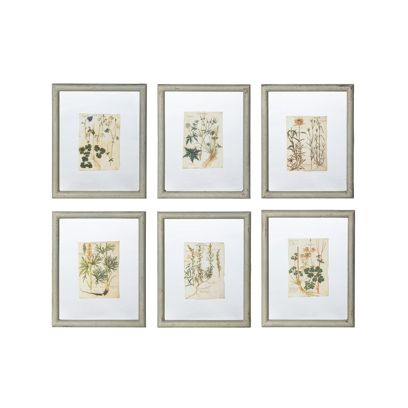 Floating Frames Botanical Prints, SET 6