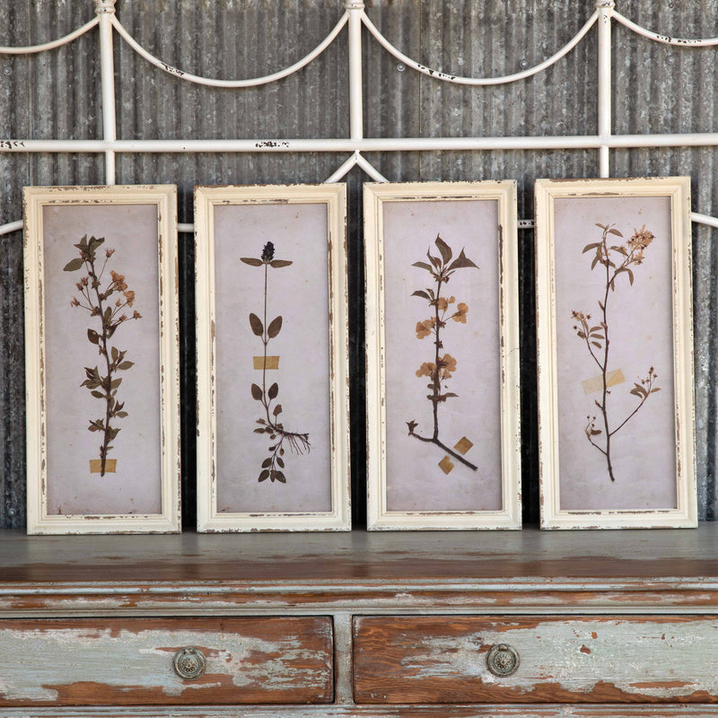Pressed Botanical Framed Prints, SET 4